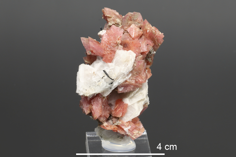 Rhodochrosite (Quebec)